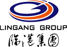 临港集团